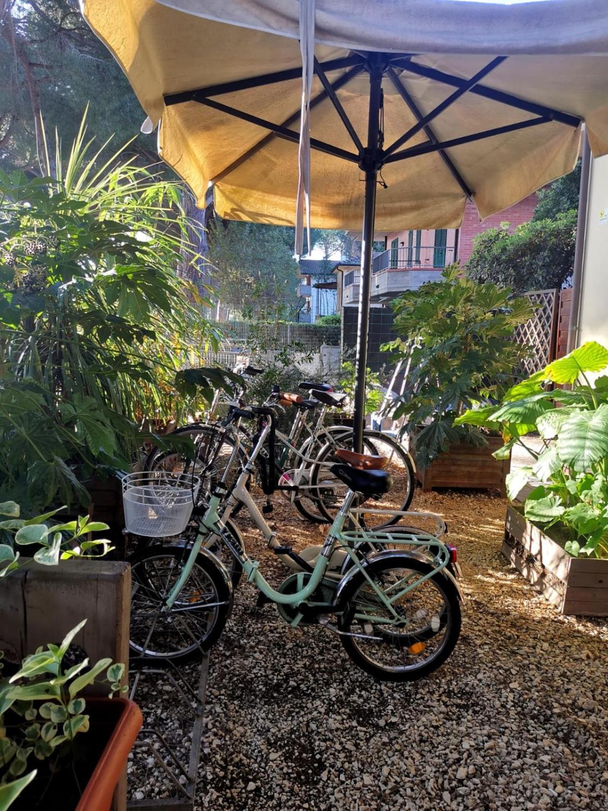 فندق Casa Dorita - Free Breakfast Corner 8-12 تّشيرفييا المظهر الخارجي الصورة